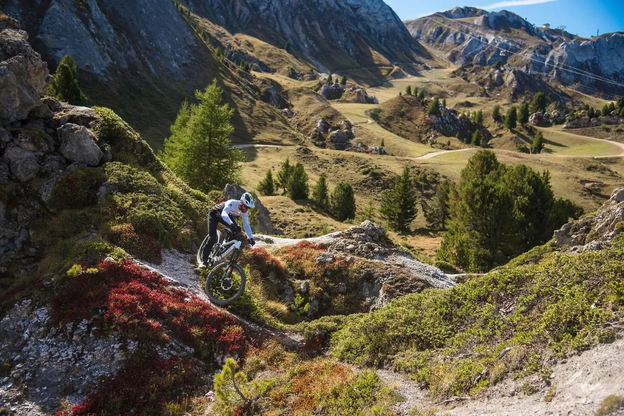 Chalet Bouquetin- Lynx For Up To 6 People Διαμέρισμα La Plagne Γαλλία